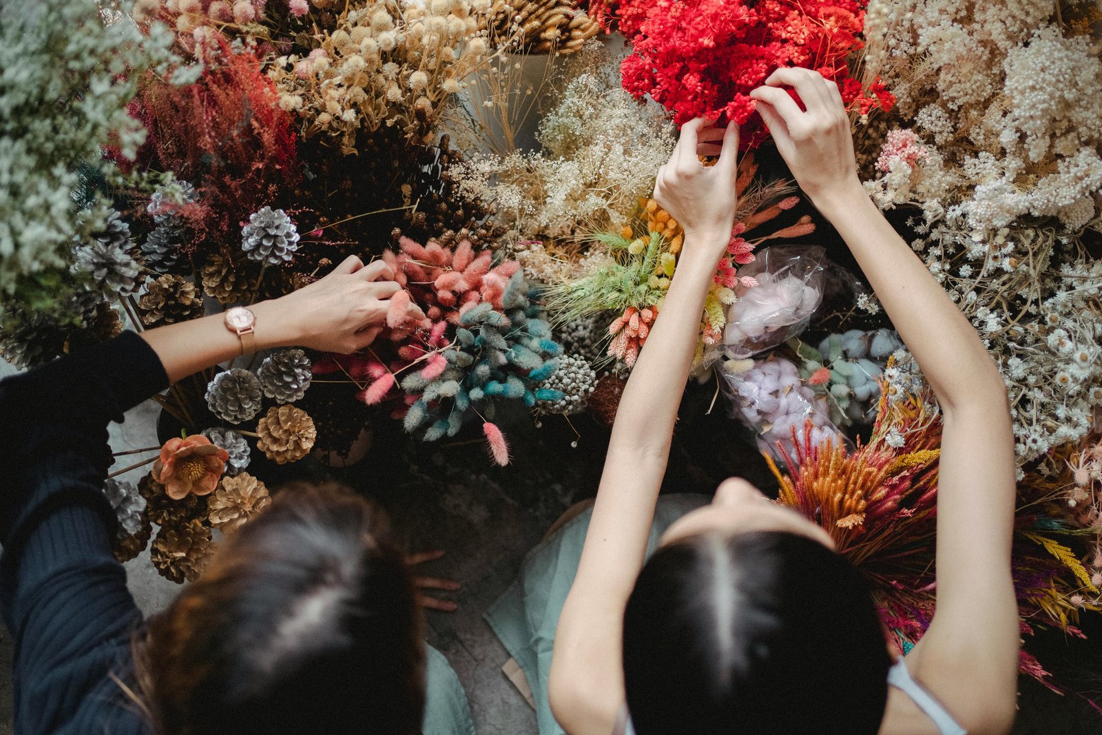 Grigore Floristeria en Torrelavega